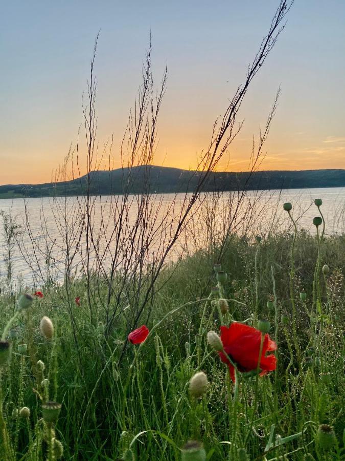 Caravans 10 Min To Tsonevo Lake & 35 Min To Black Sea Екстер'єр фото