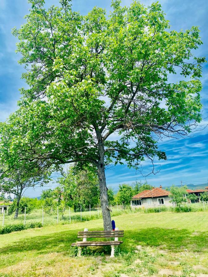 Caravans 10 Min To Tsonevo Lake & 35 Min To Black Sea Екстер'єр фото