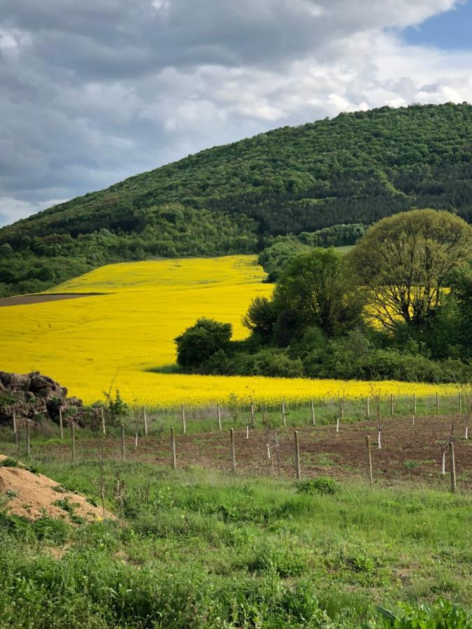 Caravans 10 Min To Tsonevo Lake & 35 Min To Black Sea Екстер'єр фото